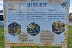 Bienenlehrpfad03_20220425_144529a