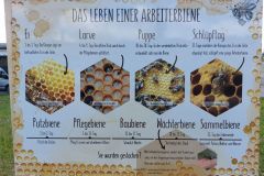 Bienenlehrpfad04_20220425_144516a