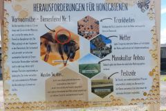 Bienenlehrpfad10_20220425_144241a