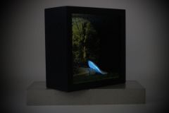 Pilzmaedchen_Taeubling_glow