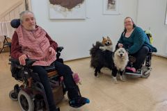 xAssistenzhund_20260514_140744891a