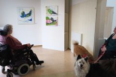 xAssistenzhund_20260514_140909221a