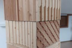 WanderWood_20260120_095822a