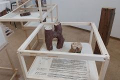 WanderWood_20260120_095916a