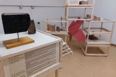 WanderWood_20260120_100004a