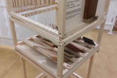 WanderWood_20260120_100042a