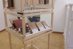 WanderWood_20260120_100052a