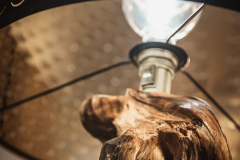 Foto von Marion Berg